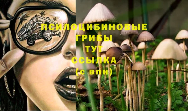 тгк Абинск