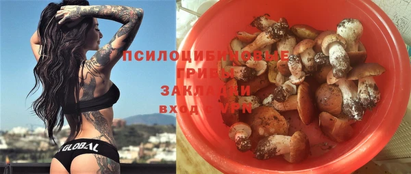 тгк Абинск
