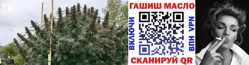 ссылка на мегу рабочий сайт  Чебаркуль  ТГК гашишное масло  купить закладку 