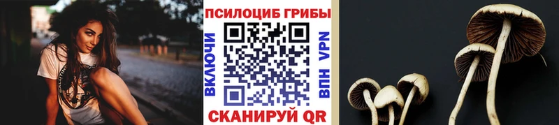 Галлюциногенные грибы мухоморы  Чебаркуль 