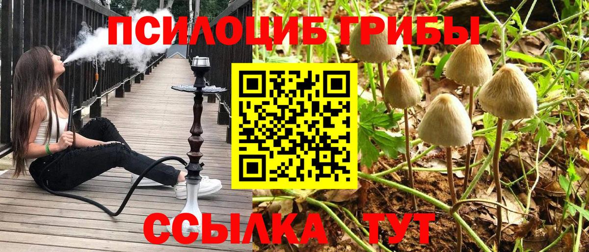 Чебаркуль  Псилоцибиновые грибы Psilocybe  Псилоцибиновые грибы MAGIC MUSHROOMS  Вход с VPN 
